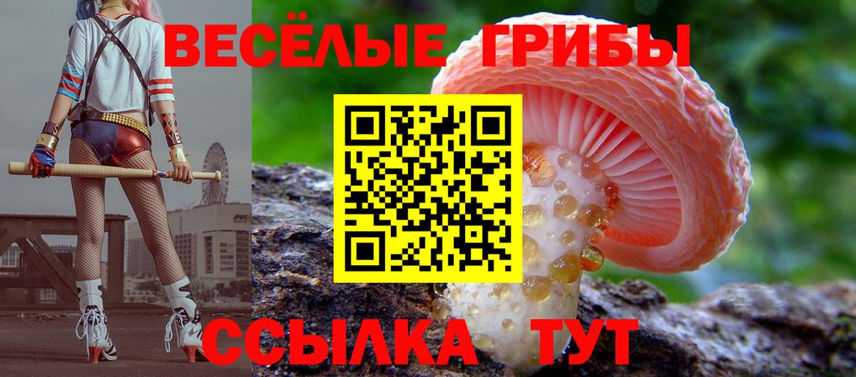 Галлюциногенные грибы Magic Shrooms  Галлюциногенные грибы Psilocybine cubensis  Вход с VPN  купить  цена  Светлоград 
